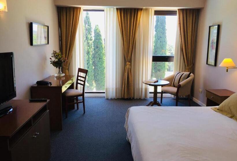 חדר סטנדרט יחיד, San Miguel Plaza Hotel All Inclusive