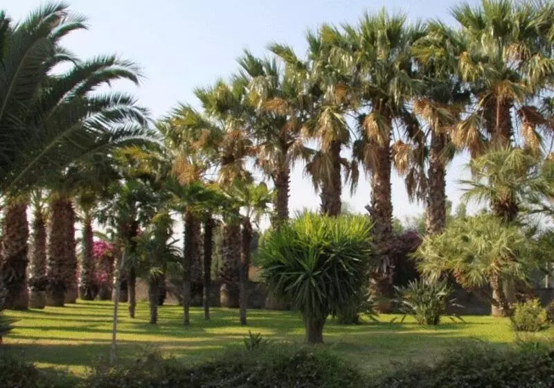 اتاق کلاسیک خانوادگی, Il Gelso Bianco