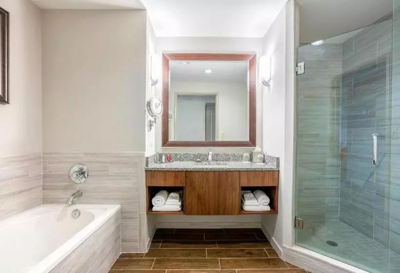 身障者適用スタンダードルーム, Auburn Marriott Opelika Resort & Spa At Grand National
