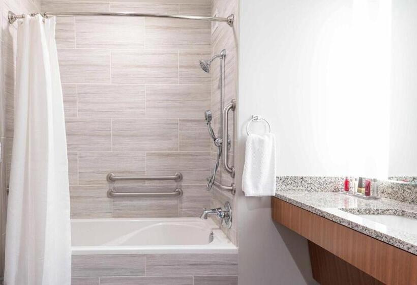 غرفة قياسية لذوى الاحتياجات الخاصة, Auburn Marriott Opelika Resort & Spa At Grand National