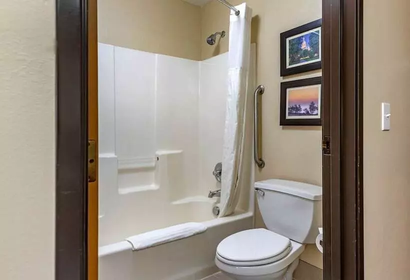 ２ダブルベッドのスタンダードルーム, Comfort Inn & Suites Dimondale   Lansing