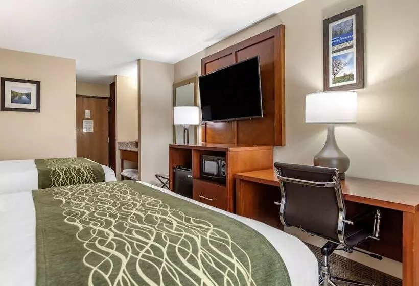 ２ダブルベッドのスタンダードルーム, Comfort Inn & Suites Dimondale   Lansing