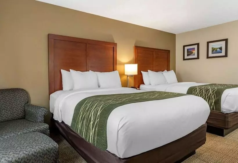２ダブルベッドのスタンダードルーム, Comfort Inn & Suites Dimondale   Lansing