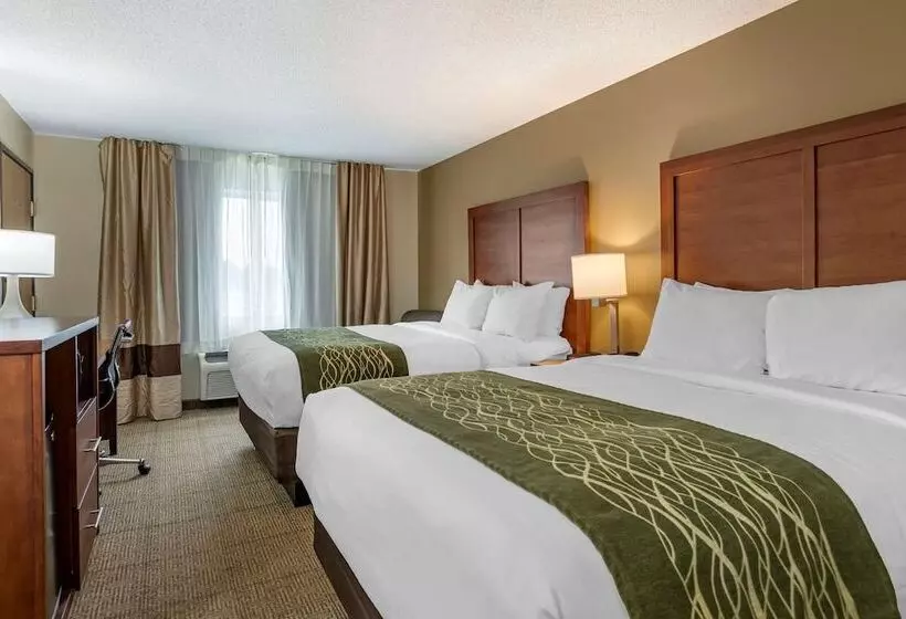 ２ダブルベッドのスタンダードルーム, Comfort Inn & Suites Dimondale   Lansing