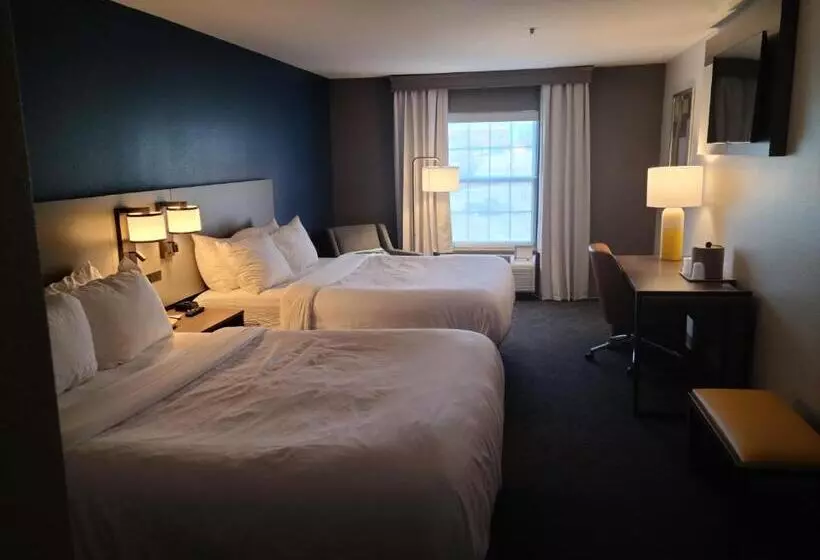 スタンダードルーム, Comfort Inn & Suites