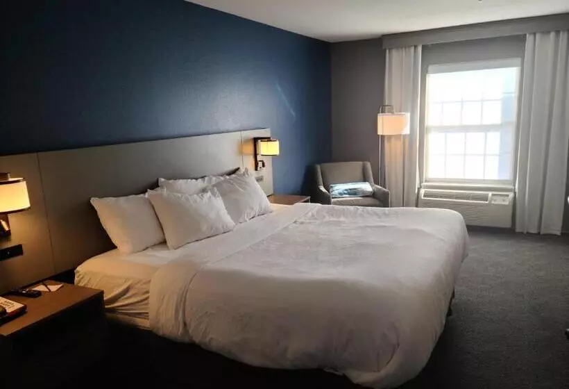 キングサイズベッドのスタンダードルーム, Comfort Inn & Suites