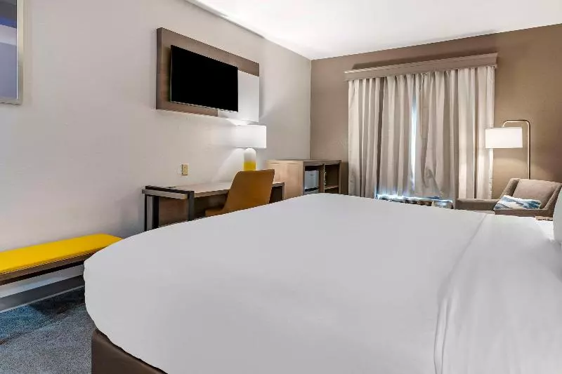 身障者適用キングサイズベッドルーム, Comfort Inn & Suites