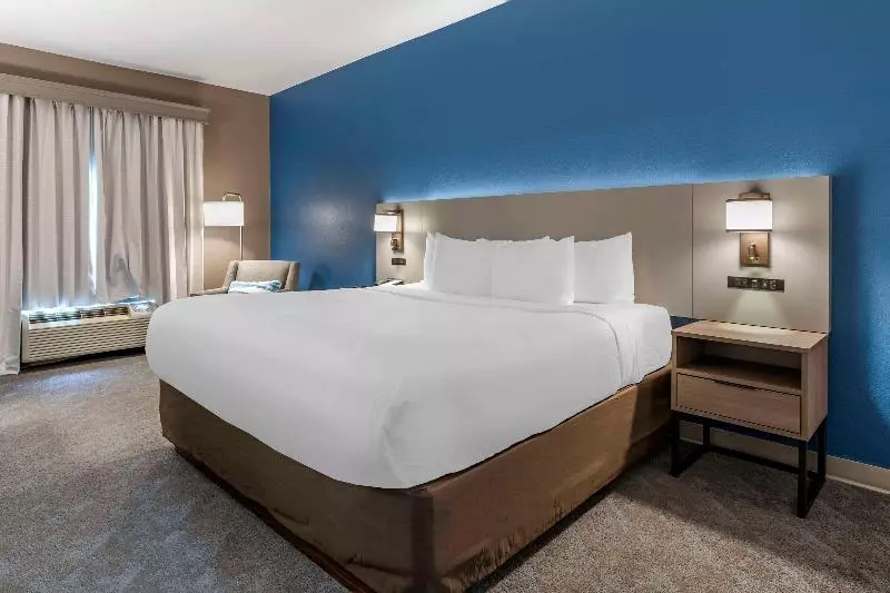身障者適用キングサイズベッドルーム, Comfort Inn & Suites