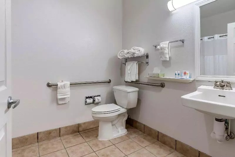 身障者適用クイーンサイズベッドルーム, Comfort Inn & Suites