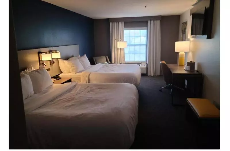 身障者適用クイーンサイズベッドルーム, Comfort Inn & Suites