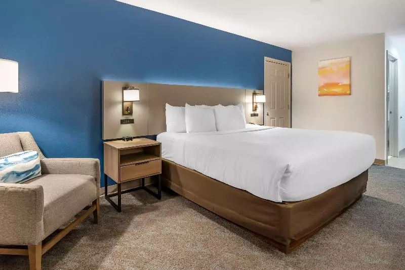 キングサイズベッドのスタンダードルーム, Comfort Inn & Suites