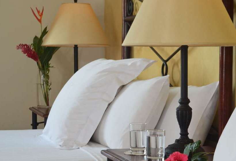 اتاق استاندارد, Dario Granada