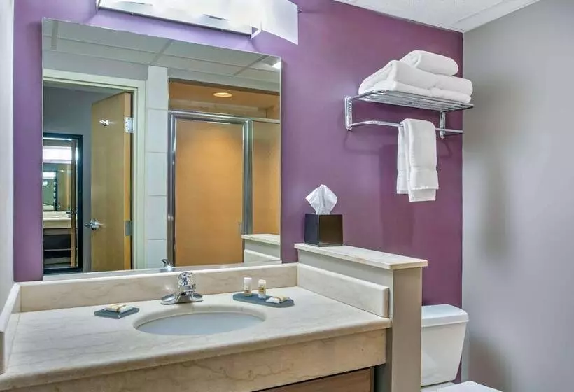 デラックススイート, La Quinta Inn By Wyndham Radford