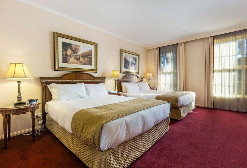 סוויטה, Canterbury International