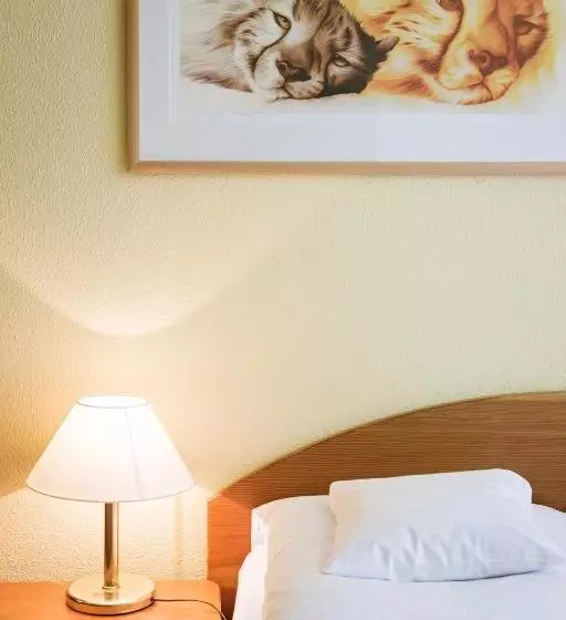 Standard Single Room, Nationalpark Hotel Schliffkopf