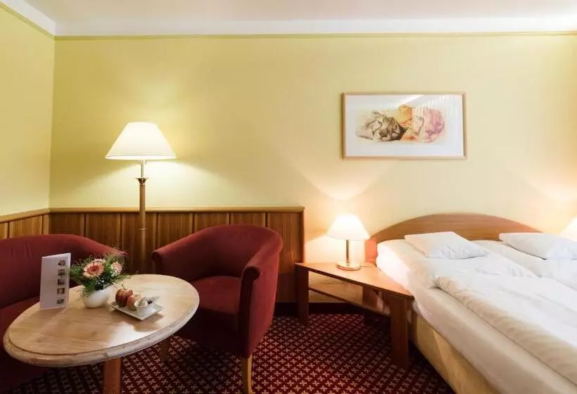 Standard Single Room, Nationalpark Hotel Schliffkopf