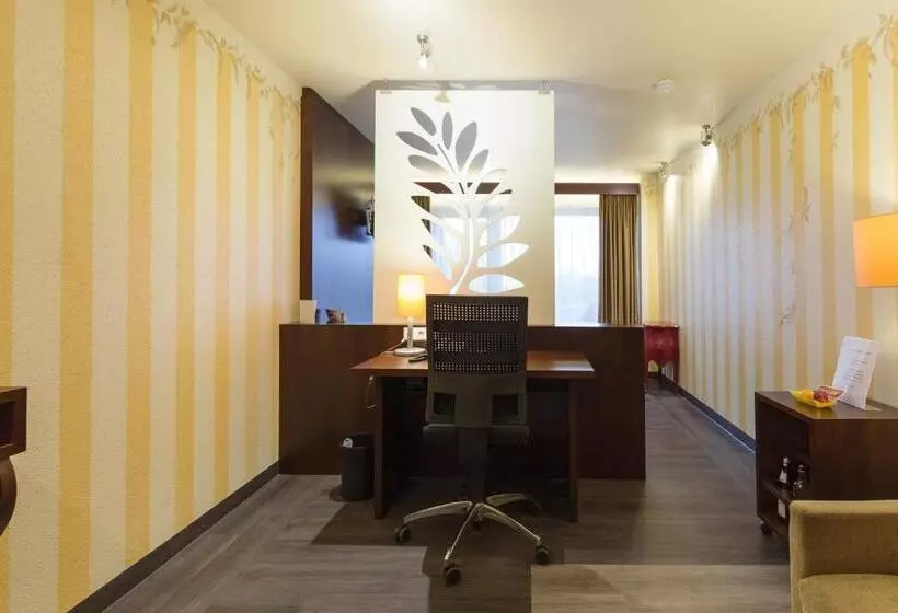 Superior Single Room, Nationalpark Hotel Schliffkopf