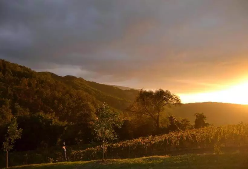 スタンダードトリプルルーム, Agriturismo Le Case