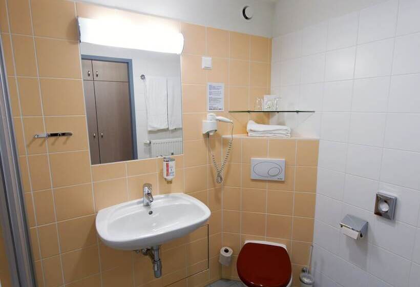 اتاق استاندارد یک تخته با چشم‌انداز شهر, Kolping Wien Zentral