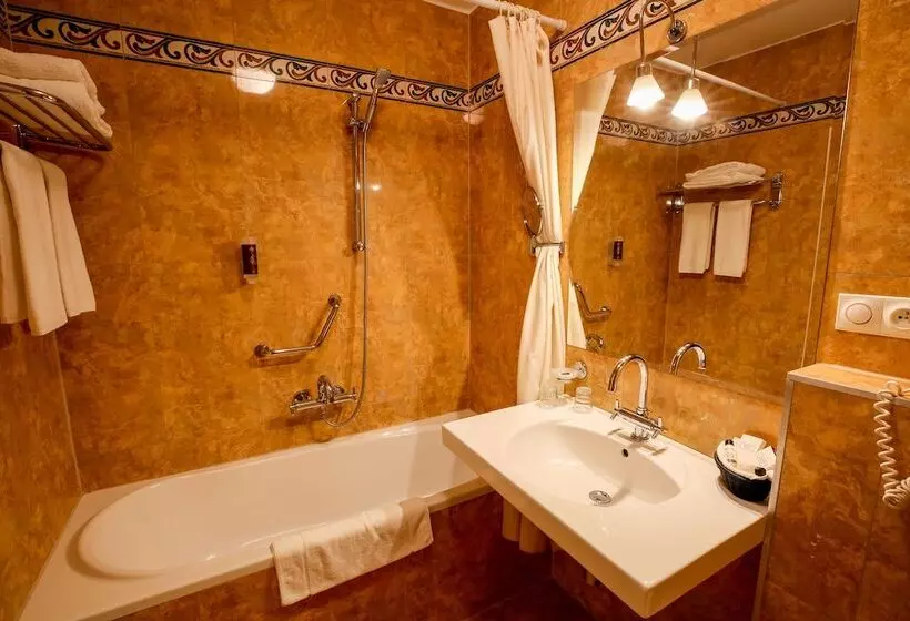 اتاق سوپریور, Lh Hotel Dvořák Tábor Congress & Wellness