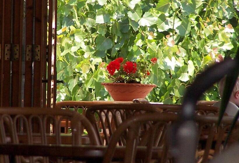 4인용 스탠다드 룸, Perros