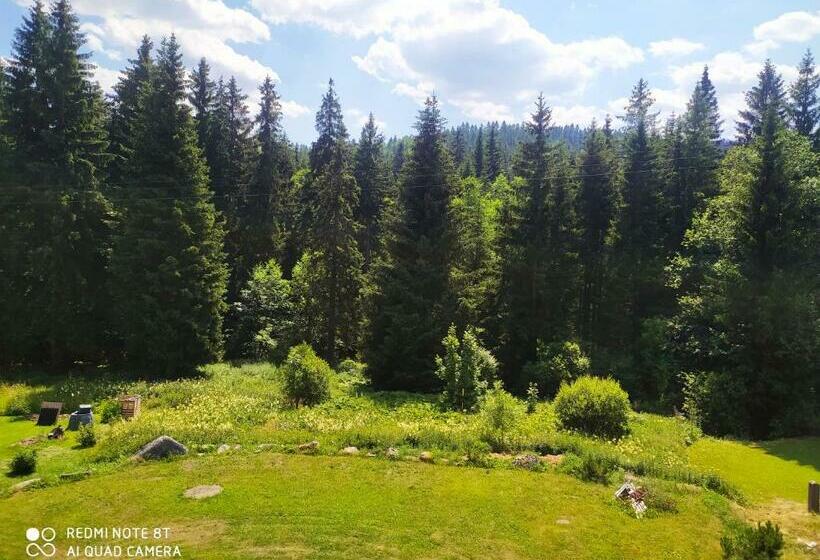 スタンダードルーム, Wellness Penzion Triola