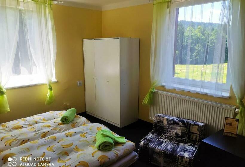 スタンダードルーム, Wellness Penzion Triola