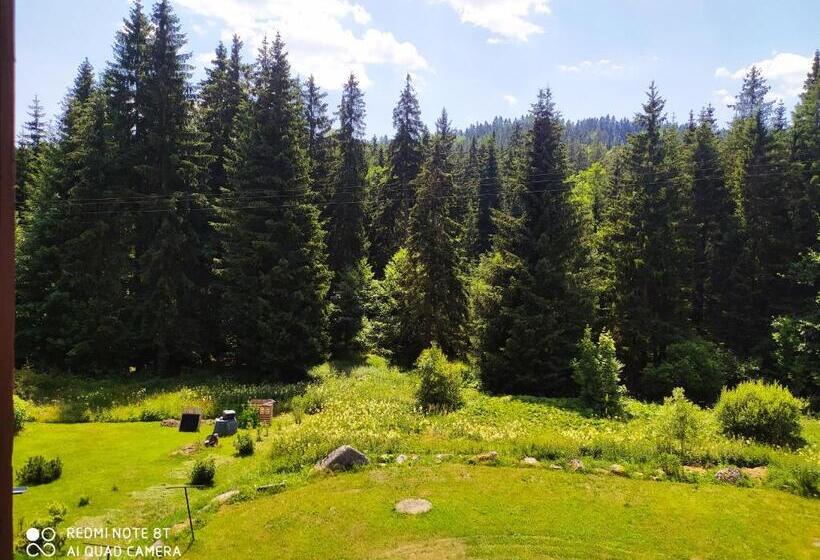 バス共有のスタンダードルーム, Wellness Penzion Triola