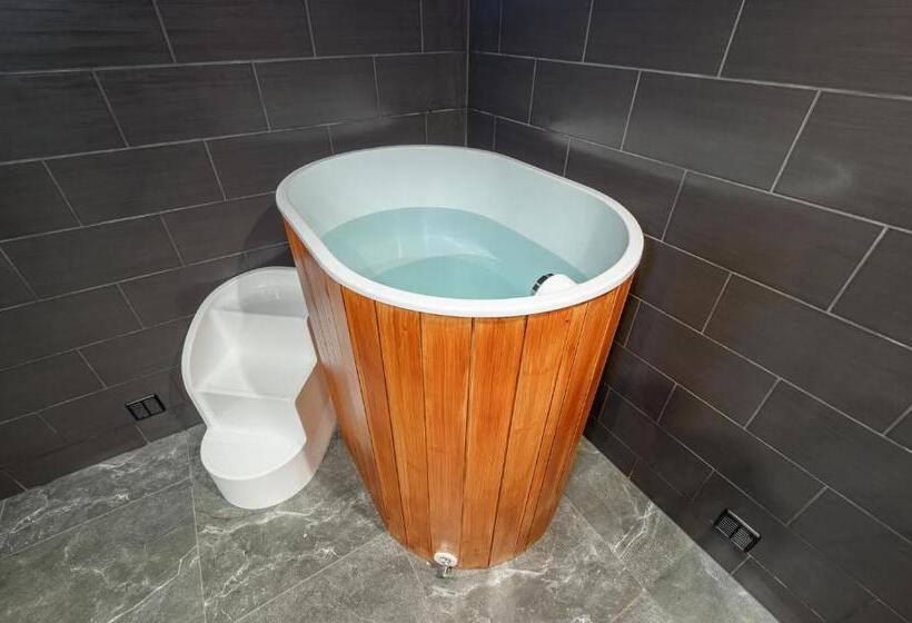 Студия Стандарт, Wellness Penzion Triola