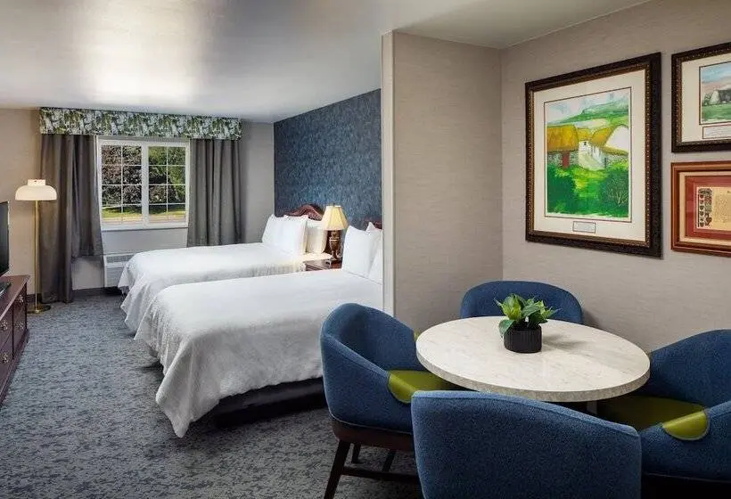 デラックスルーム, Irish Cottage Inn & Suites