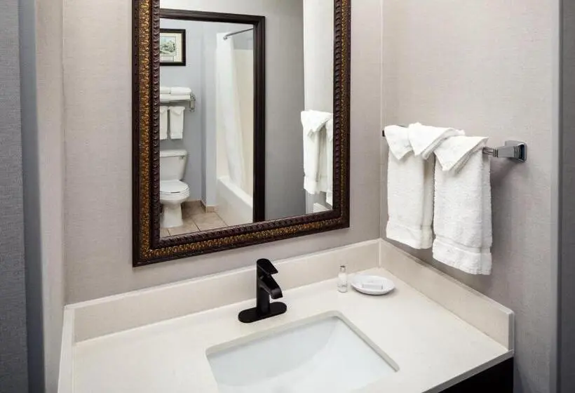 デラックススタジオ, Irish Cottage Inn & Suites