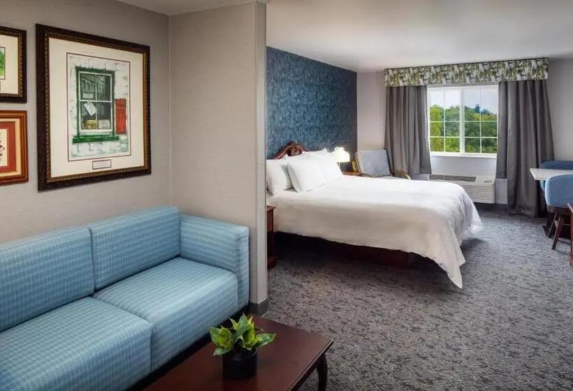 デラックススタジオ, Irish Cottage Inn & Suites