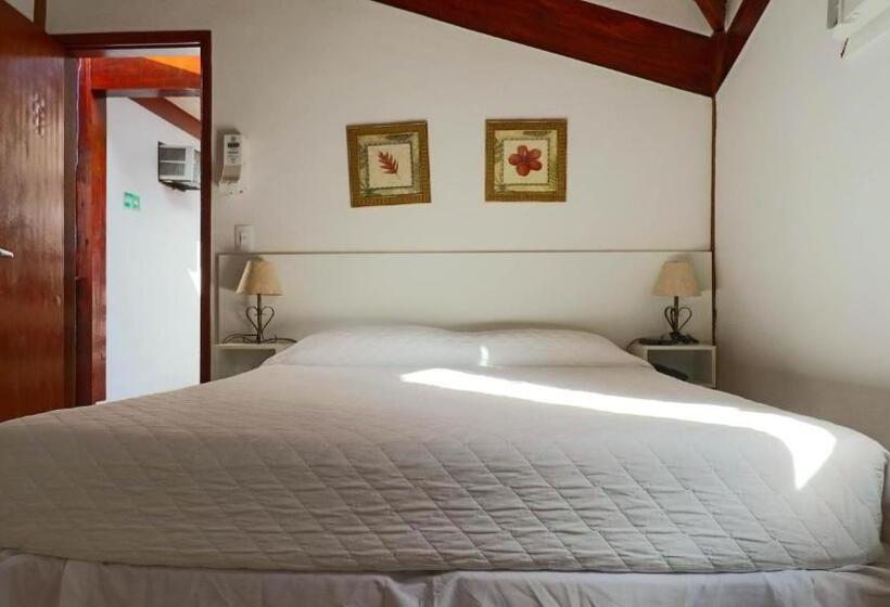 スタンダードルーム, Coquille