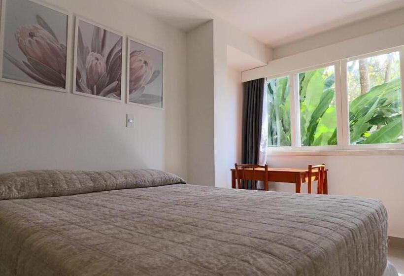 デラックスルーム, Coquille