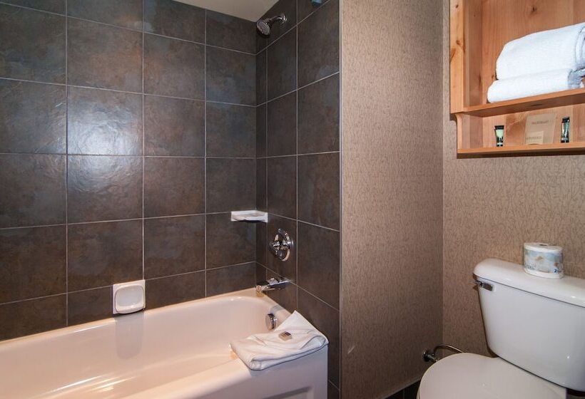 Standart Oda, Fox Hotel And Suites