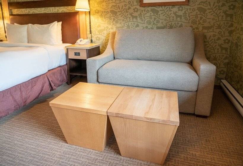 Standart Oda, Fox Hotel And Suites