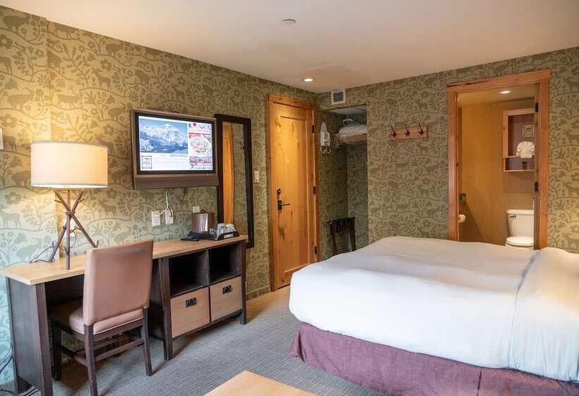 Standart Oda, Fox Hotel And Suites