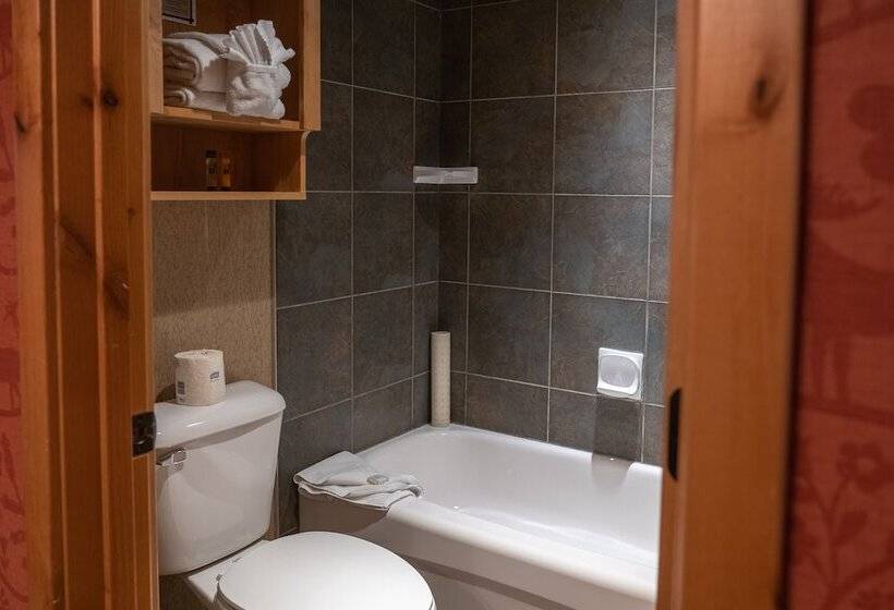 Lüks Süit, Fox Hotel And Suites