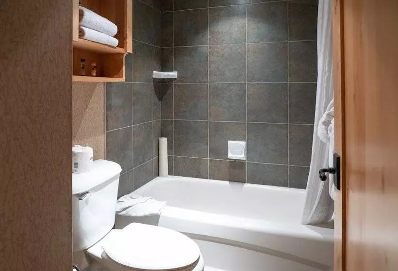2 Bedroom Superior Room, Fox Hotel And Suites