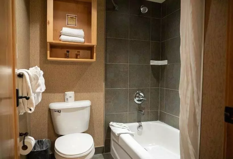 اتاق استاندارد با 2 تخت دوبل, Fox Hotel And Suites