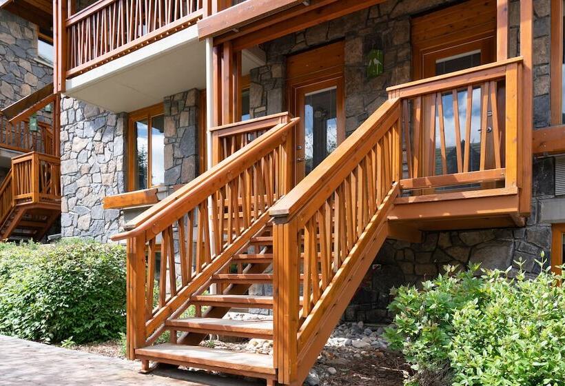 Süit, Fox Hotel And Suites