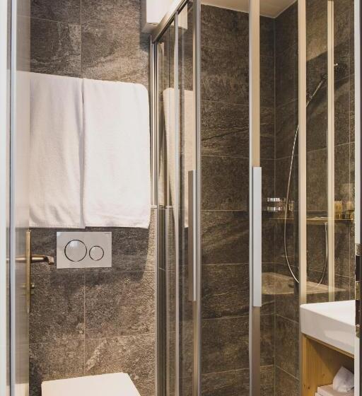 기본룸, Pointe De Zinal