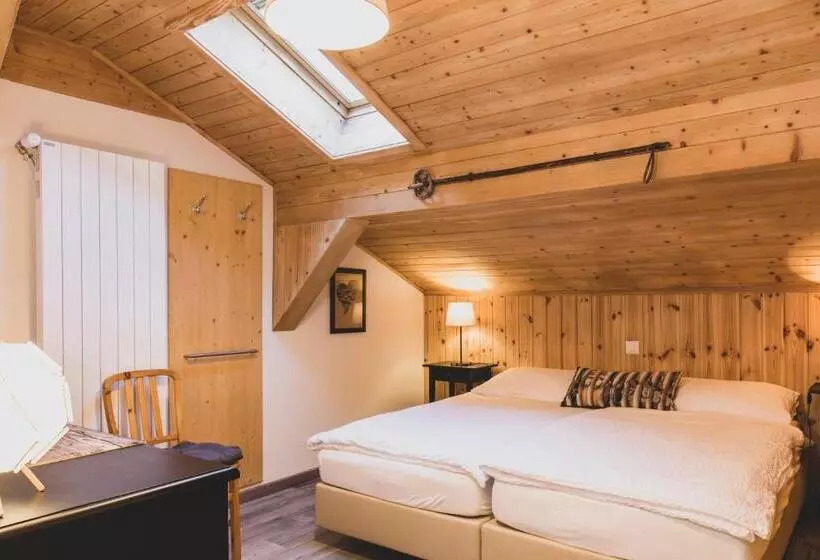 Basis Zimmer, Pointe De Zinal