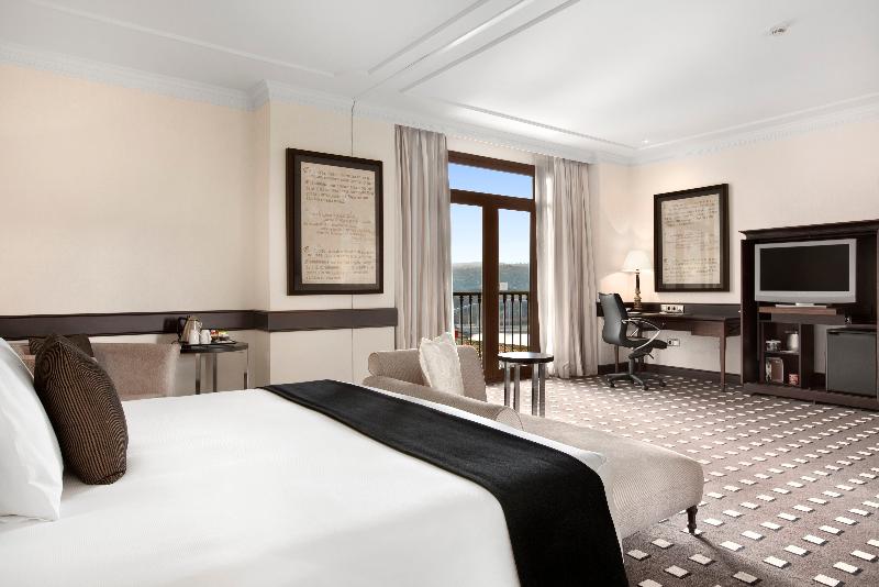 豪华房间, Eurostars Palacio Buenavista