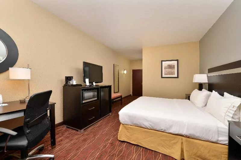 Standard-huone King-vuode, Holiday Inn Express & Suites Austin Sw   Sunset Valley, And Ihg