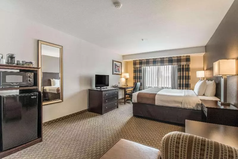 Standaardkamer met Kingsize Bed, Quality Inn