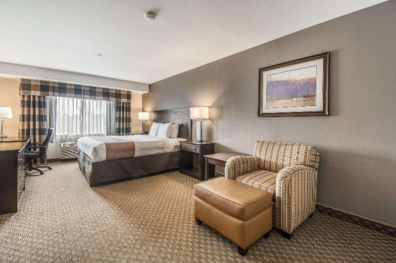 Pokój Standard Łóżko King Size, Quality Inn