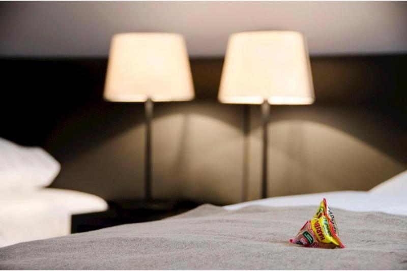 标准间, Homaris Corner