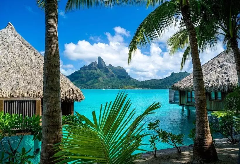 デラックスビラの１ベッドルーム, The St. Regis Bora Bora Resort