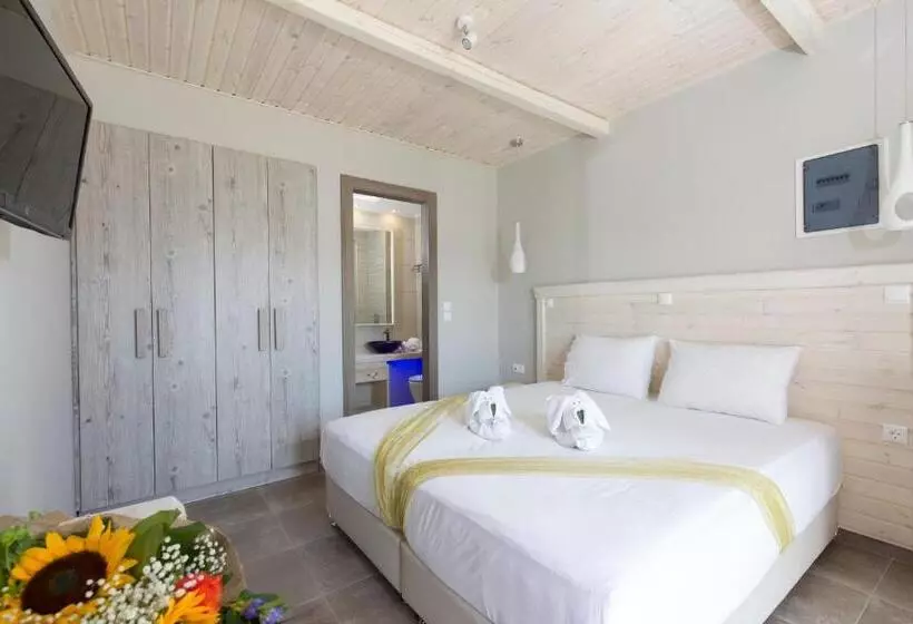 استودیوی استاندارد با چشم‌انداز دریا, Anthemis Hotel Apartments